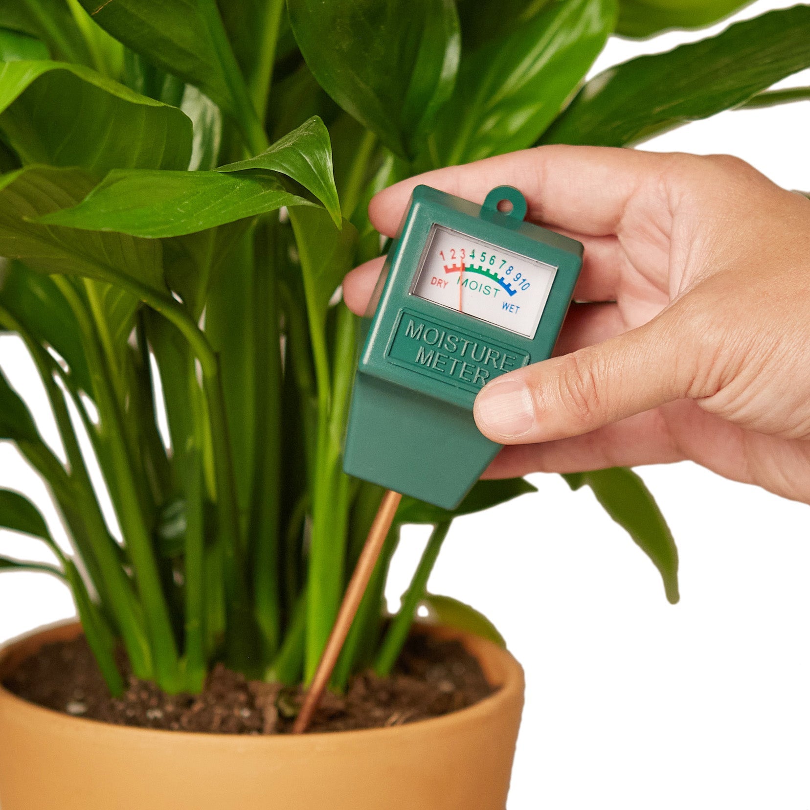 Indoor Plant Soil Moisture Meter
