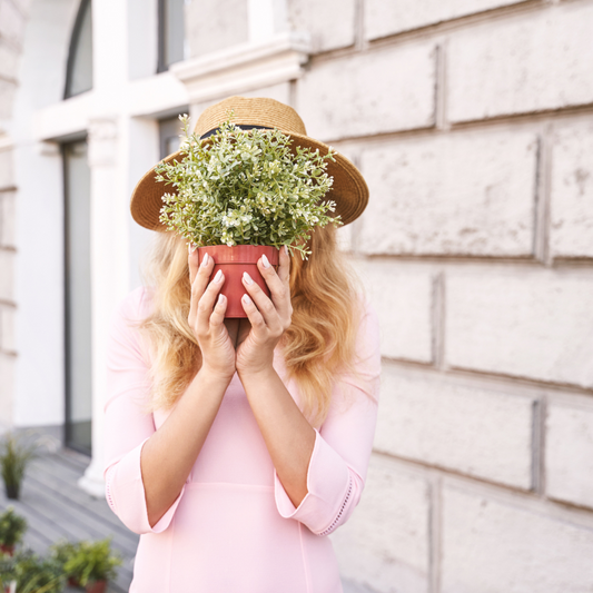 The Benefits of Sending Green Corporate Gifts: Why Plants Make the Perfect Presents 🌿