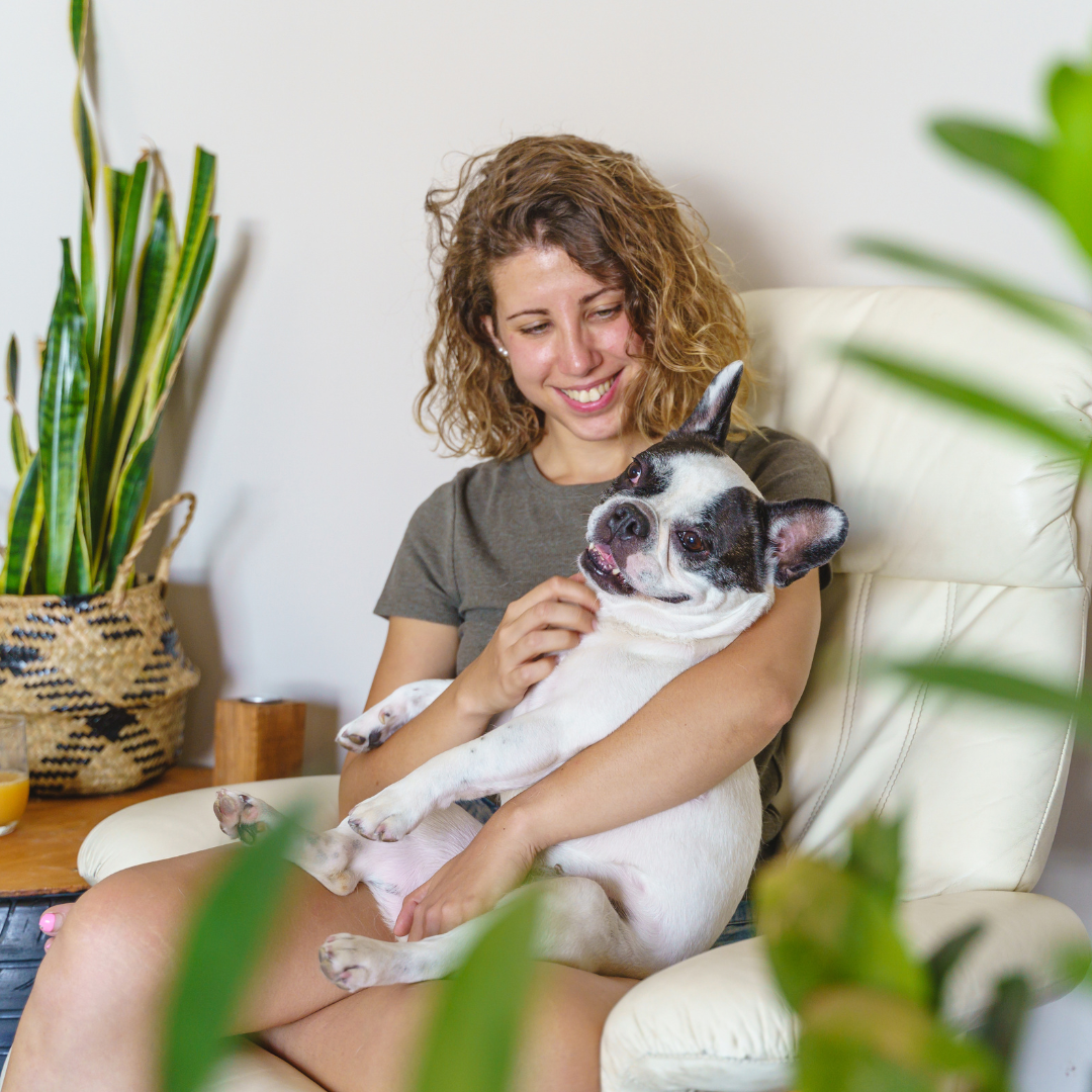 Indoor Plants That Are Safe for Pets